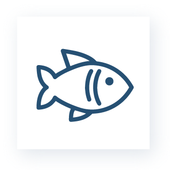 AQUARIUM DEL PERÚ